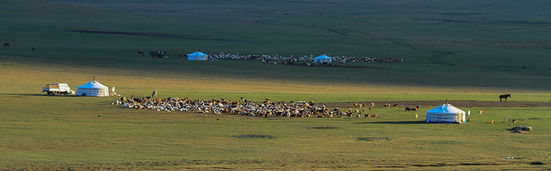 mongolia landlocked country